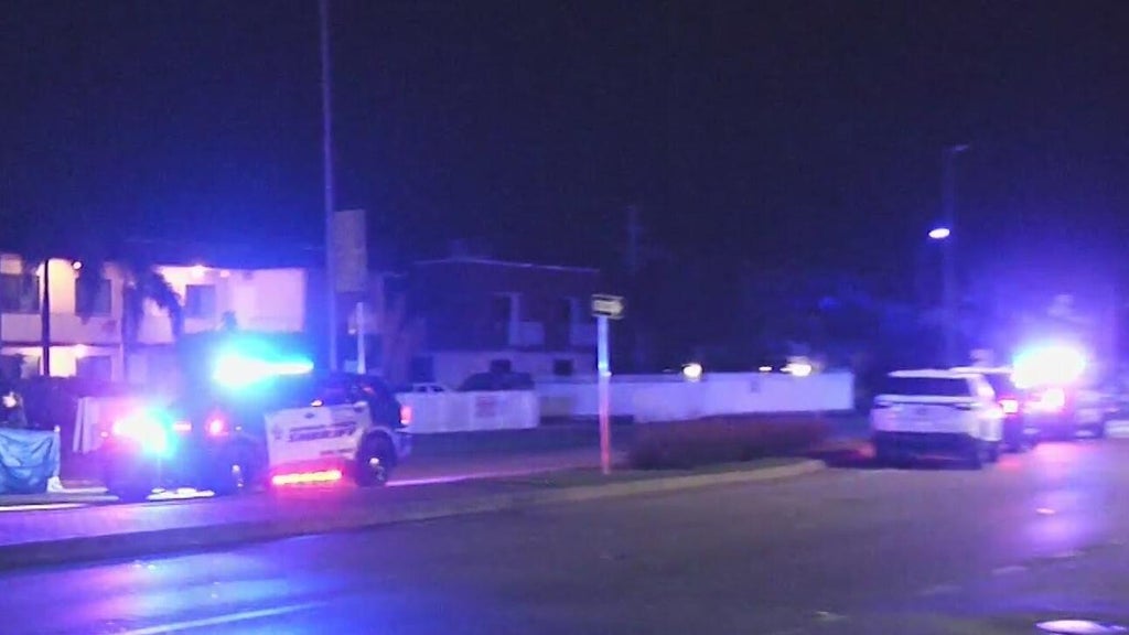 Woman accused of killing man in Dania Beach hit-and-run, BSO says — CBS Miami, Half Moon Bay Community news