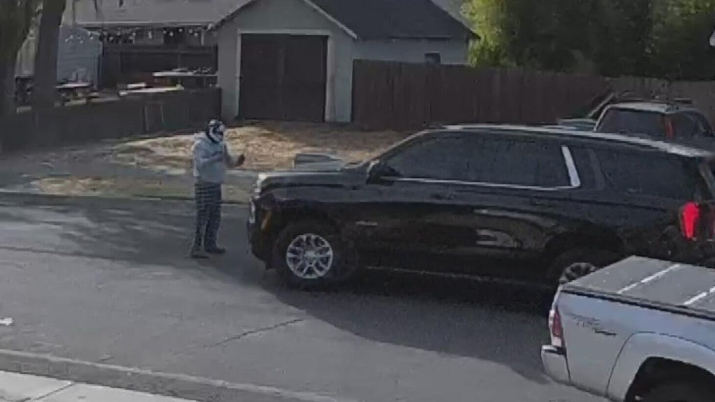 Woodland police dispute DHS account of ICE agent's collision with pedestrian — CBS Bay Area (KPIX), Half Moon Bay Health news