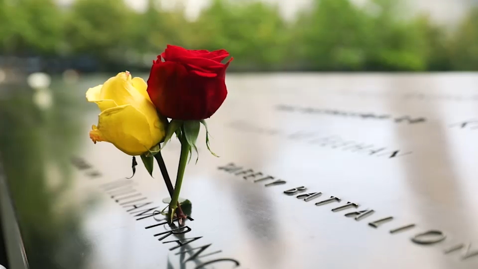 Second 9/11 victim identified with breakthrough genetic genealogy, NYC officials say
— ABC 7 Bay Area, Half Moon Bay Community news