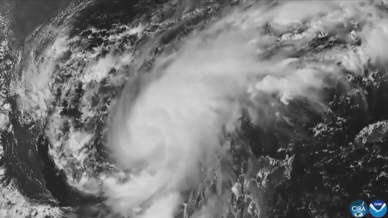 Hurricane Isaias: Residents board up windows and National Guard troops deploy as storm nears US Gulf Coast
— ABC 7 Bay Area, Half Moon Bay Sports news