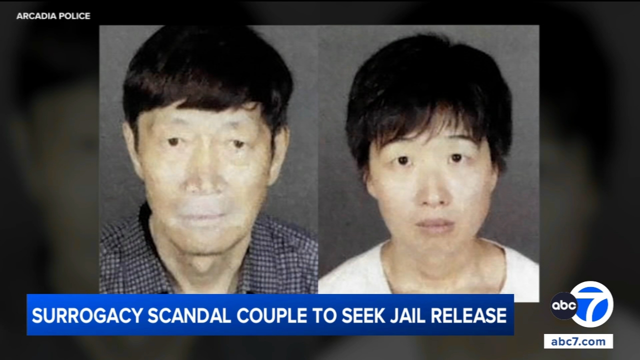California couple accused in surrogacy scandal to seek release from jail, attorneys say
       — ABC 7 Bay Area, Half Moon Bay Community news