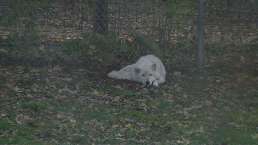 Bay Beach Wildlife Sanctuary plans 564-acre habitat restoration, construction eyed in 2028 — Fox 11 Green Bay Local, Half Moon Bay Community news