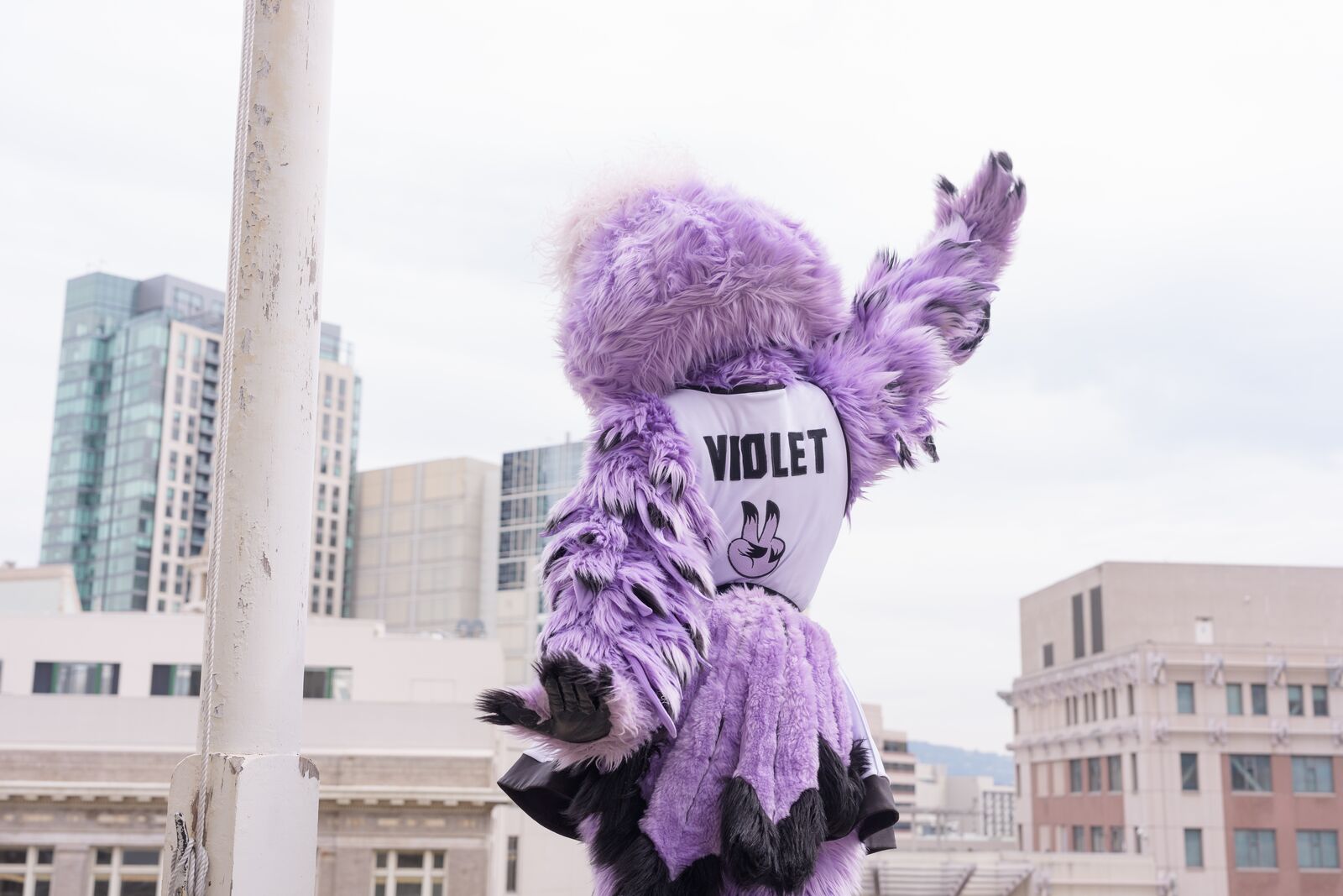 This week in Oakland: an outdoor Valkyries watch party, and singersongwriter Laura Anglade at Yoshi’s — The Oaklandside, Half Moon Bay Arts news