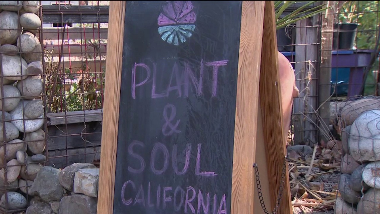 San Jose community garden faces possible eviction — KTVU FOX 2 Bay Area, Half Moon Bay Schools news
