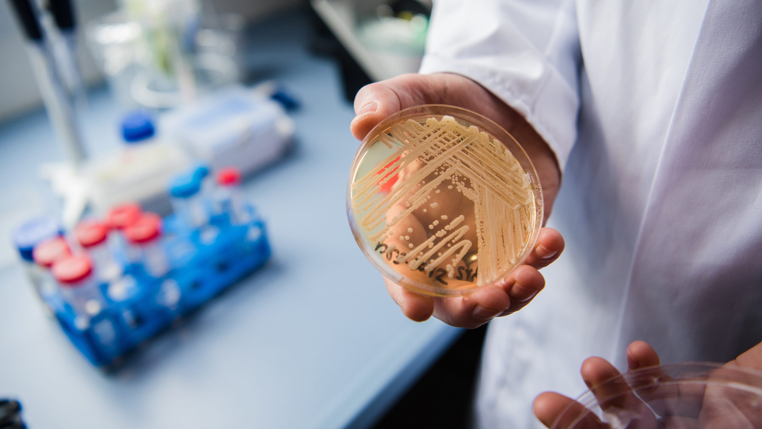 New study reveals why dangerous fungus is so difficult to treat — KTVU FOX 2 Bay Area, Half Moon Bay Community news