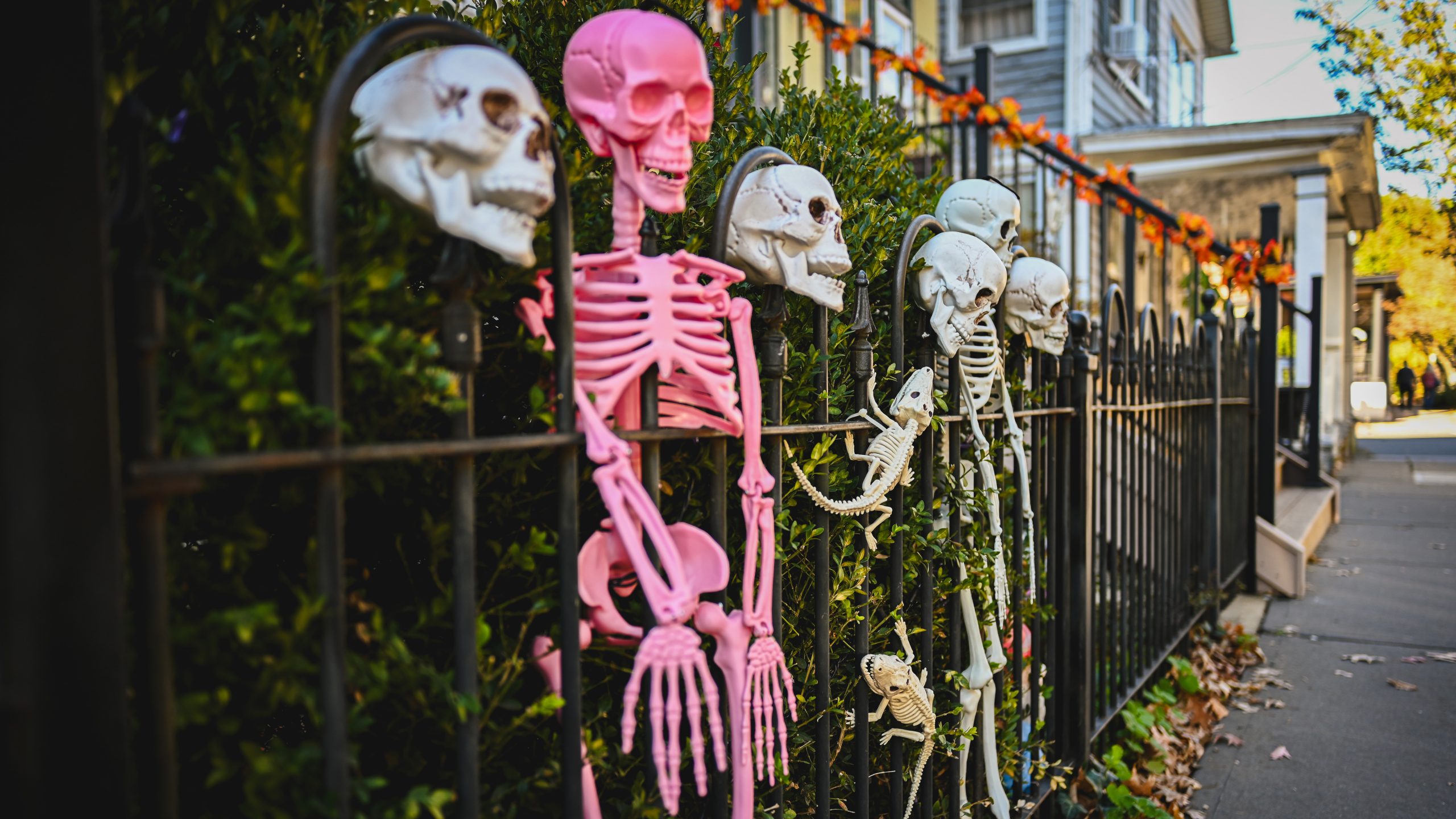 America's best cities for Halloween, ranked — KTVU FOX 2 Bay Area, Half Moon Bay Community news